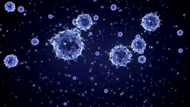 Corona Virüsü Ölümlerinden En Çok Etkilenen 5 Ülkenin Durumunu Gösteren Rapor