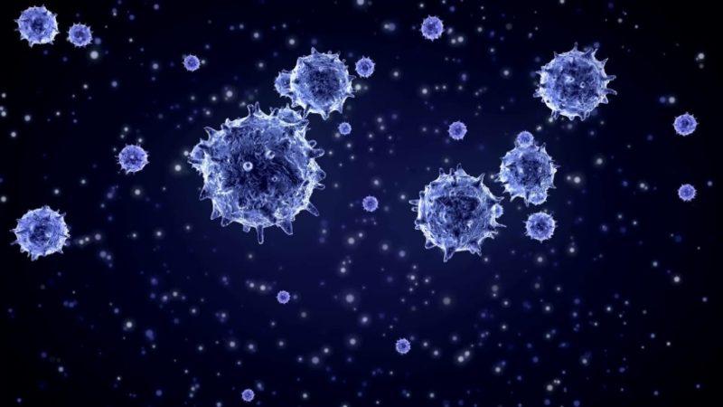 Corona Virüsü Ölümlerinden En Çok Etkilenen 5 Ülkenin Durumunu Gösteren Rapor