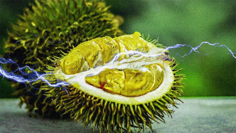 Araştırmacılar, Meyve Çekirdeklerini Kullanarak Enerji Depoladılar