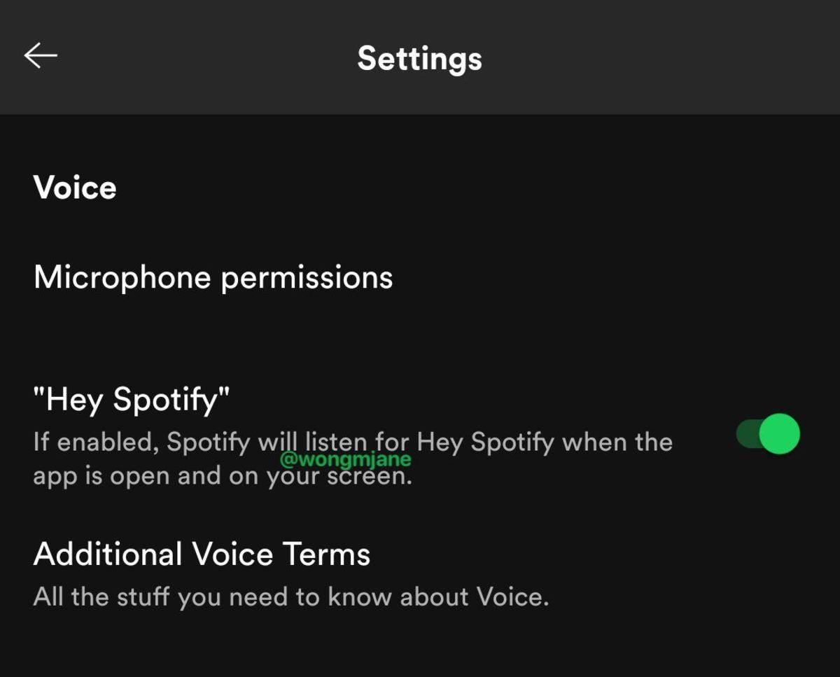 Spotify, Sesli Asistan Benzeri Özelliğini Test Ediyor