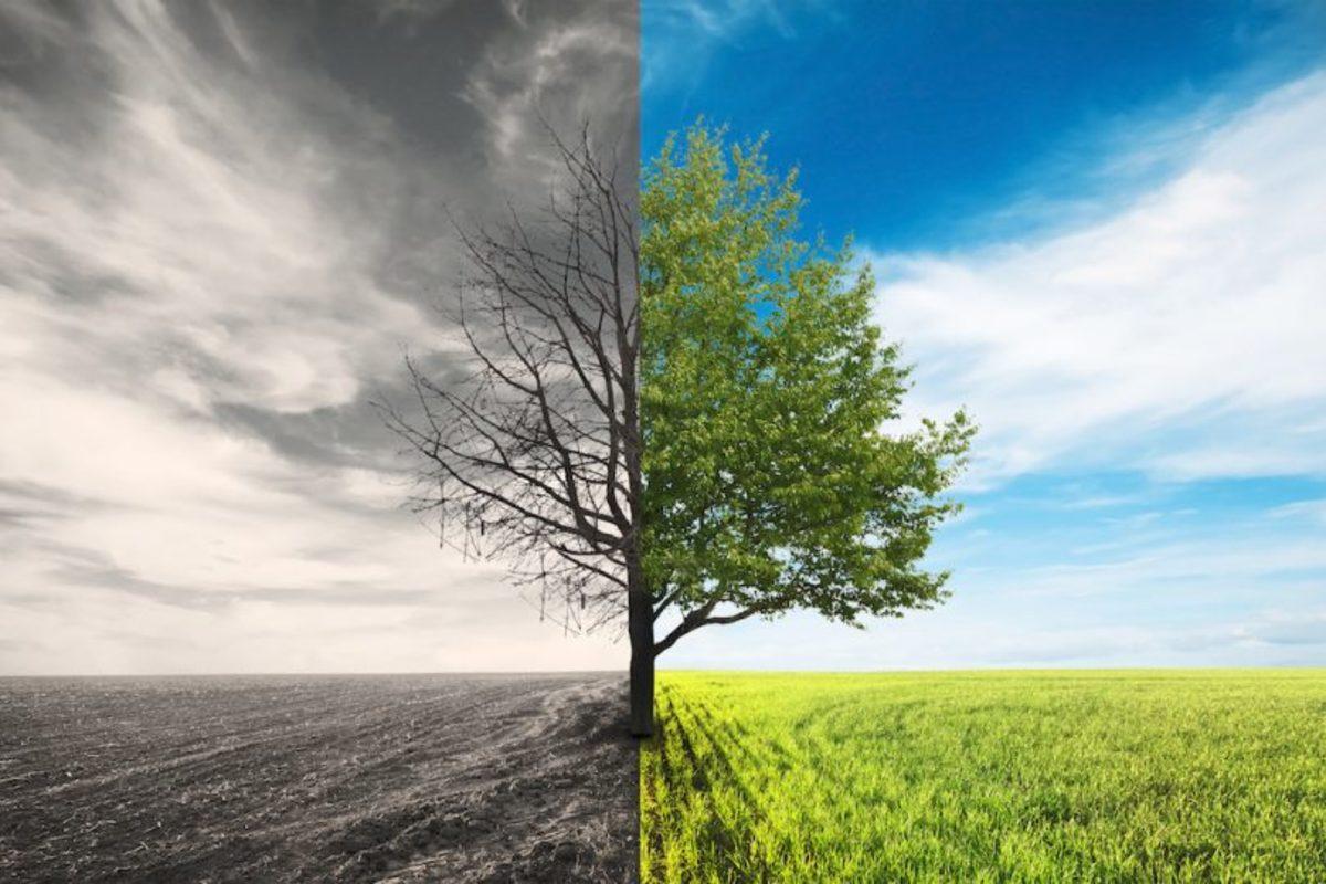 Kutupları Donduruyoruz: Bilim İnsanları, İklim Değişikliğine Karşı Yeni Yöntemler Deniyor