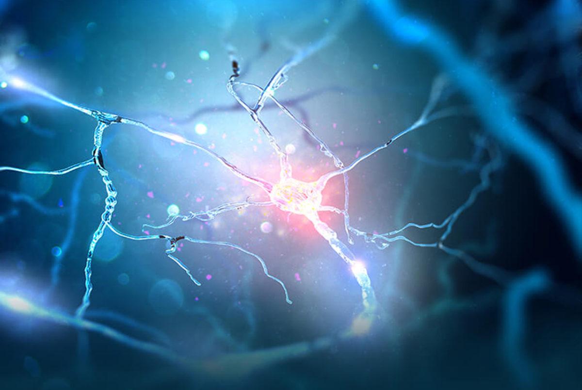 Beyinimizin, Bir Şeyi Öğrenirken ve Hatırlarken Aynı Aktiviteyi Gösterdiği Keşfedildi