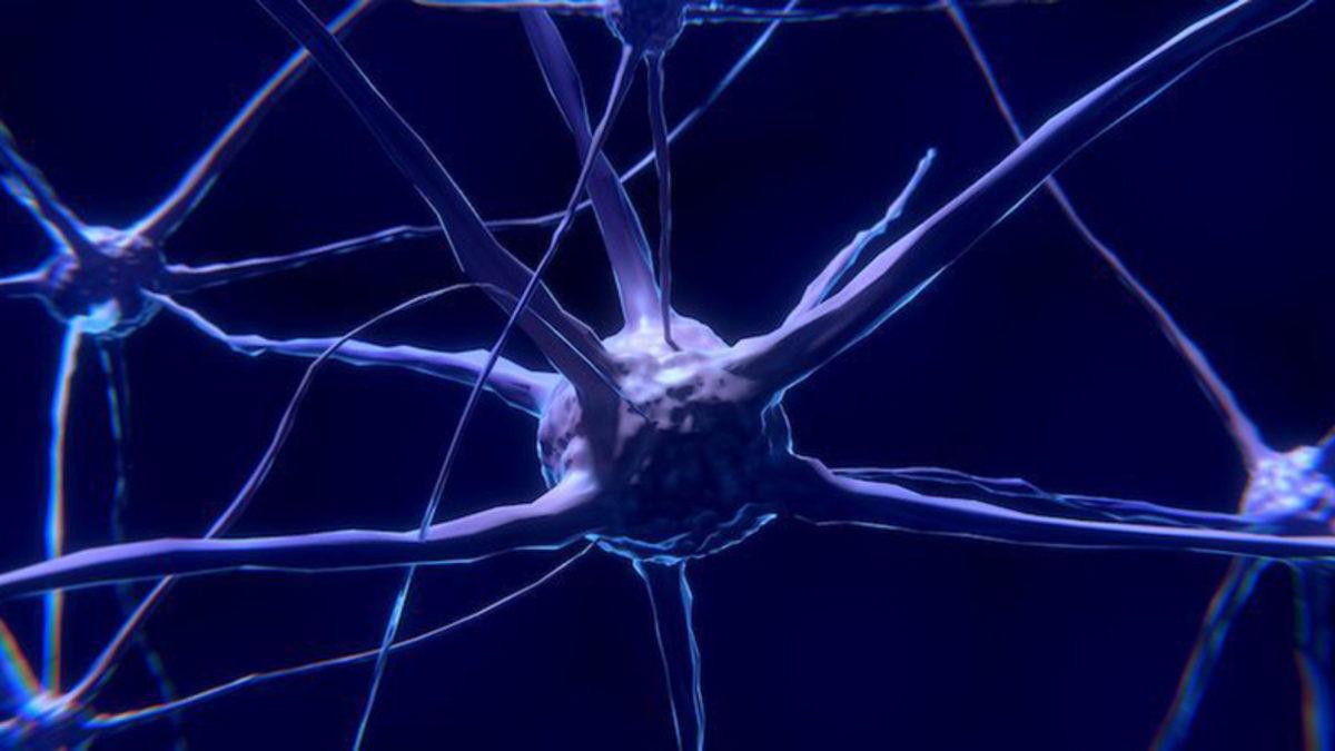 Beyinimizin, Bir Şeyi Öğrenirken ve Hatırlarken Aynı Aktiviteyi Gösterdiği Keşfedildi