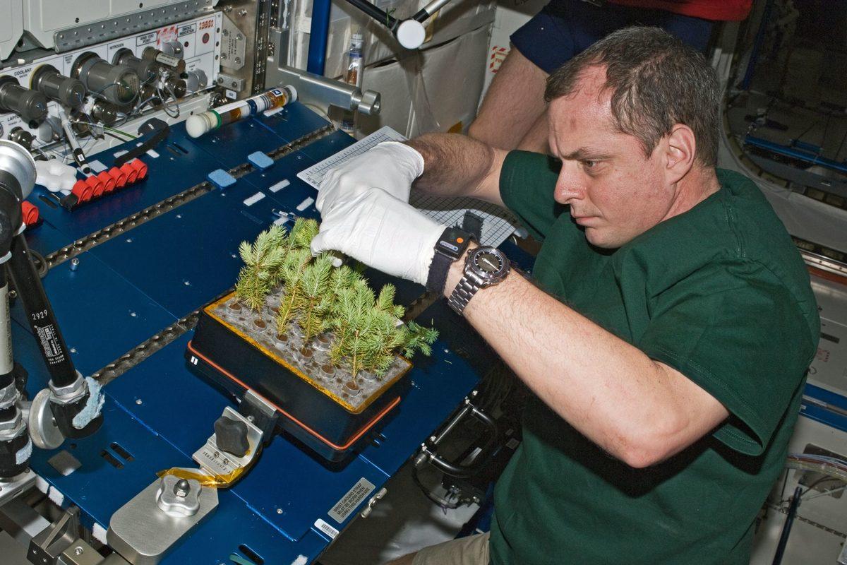 SpaceX, Dünya’ya 50. İnişini Başarıyla Gerçekleştirdi