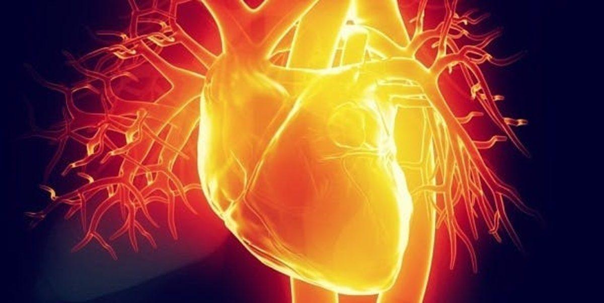 Kemiklere Destek İçin Kullanılan Bir Maddenin Kalbe Faydalı Olduğu Ortaya Çıktı