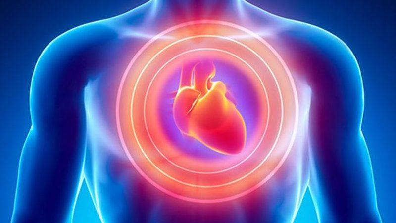 Kemiklere Destek İçin Kullanılan Bir Maddenin Kalbe Faydalı Olduğu Ortaya Çıktı