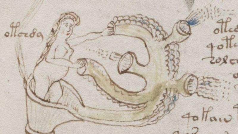 Bir Akademisyen, Gizemli Voynich El Yazmalarının Yüzlerce Yıllık Sırrını Çözdü