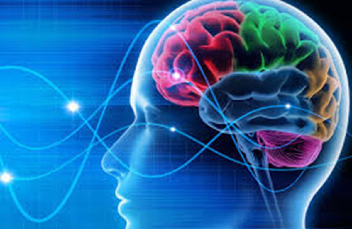 Beyinle İlgili Fikrinizi Değiştirecek 5 Gerçek