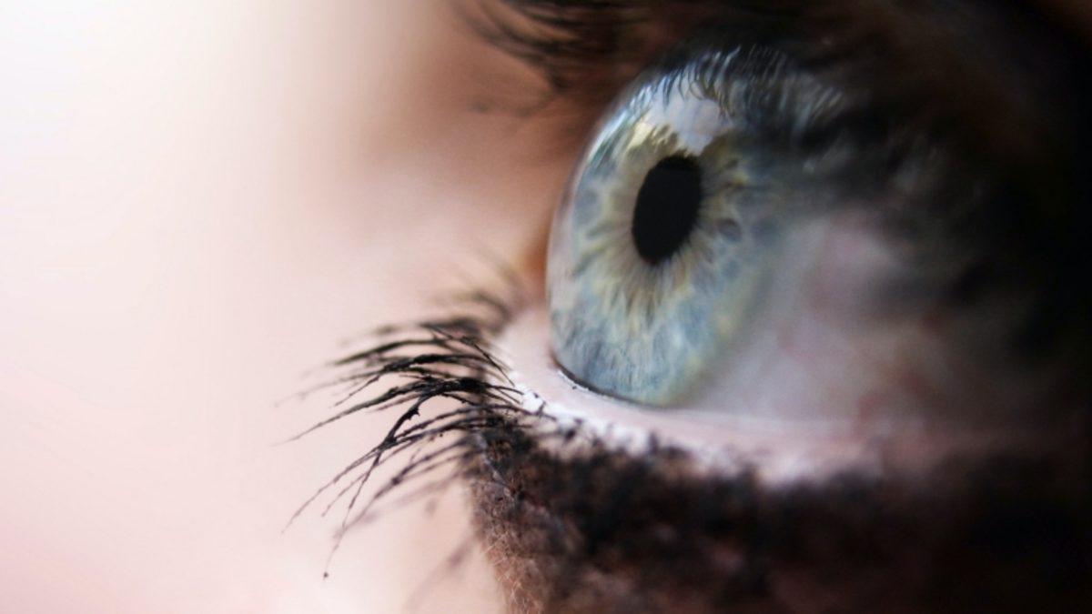 Gözlerimiz, Bir Şeyi Hatırlamak İçin Onu İlk Gördüğümüz Anı Canlandırıyor