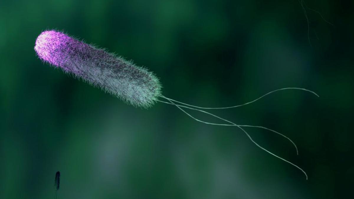 Bilim İnsanları, Laboratuvarda Oluşturdukları Sentetik Genomdan Bir Bakteri Üretmeyi Başardı