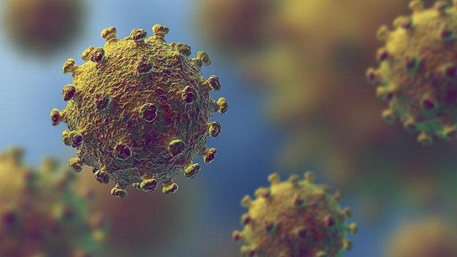 KKTC’de Görülen Corona Virüsü, Tüm Okulları Tatil Ettirdi