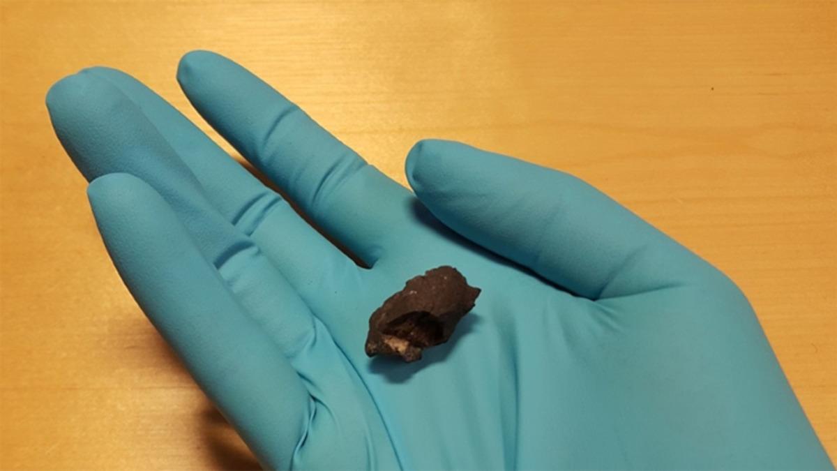 İskandinavya’da 10.000 Yıllık DNA Taşıyan Bir Sakız Keşfedildi