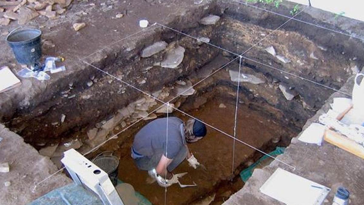 Antik Deve Kuşu Yumurtaları, 33.000 Yıl Önceki Hayata Işık Tuttu