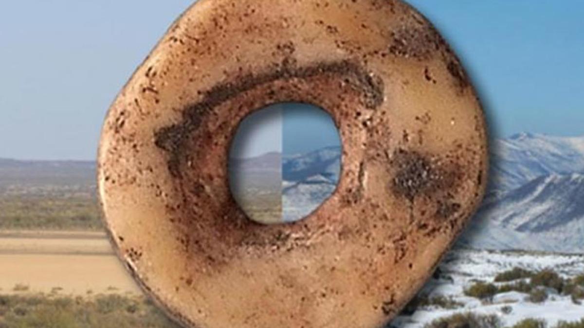 Antik Deve Kuşu Yumurtaları, 33.000 Yıl Önceki Hayata Işık Tuttu