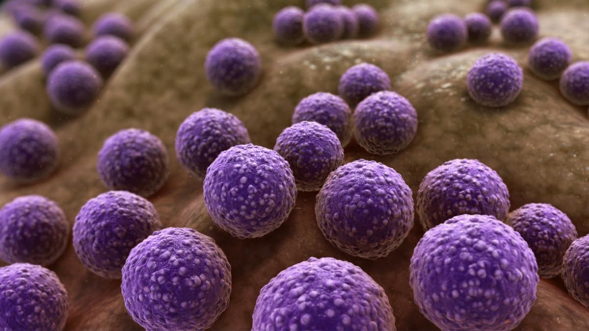 Bilim İnsanları, Yapay Zekâyla Rekor Sürede Antibiyotik Keşfetti