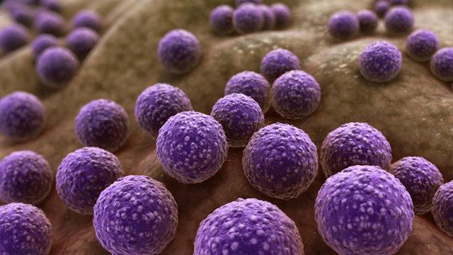 Bilim İnsanları, Yapay Zekâyla Rekor Sürede Antibiyotik Keşfetti