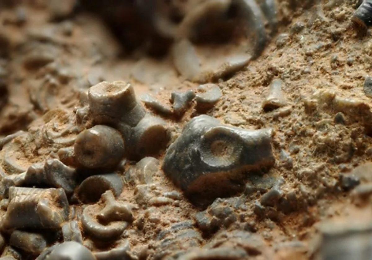 Dünyayı Yeniden Buz Devrine Sokan Asteroid, Antik Kavimler Tarafından Gözlemlenmiş