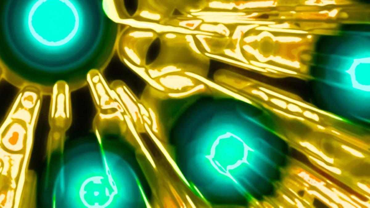 Kuantum Bilgisayar Teknolojisini Değiştirecek Bir Buluş Gerçekleştirildi