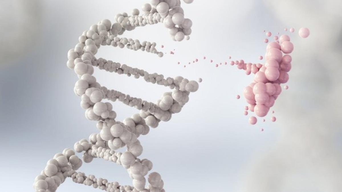 Bilim İnsanları, Önemli Bir Hastalık Olan Lupusun Sebebini Ortaya Çıkardı