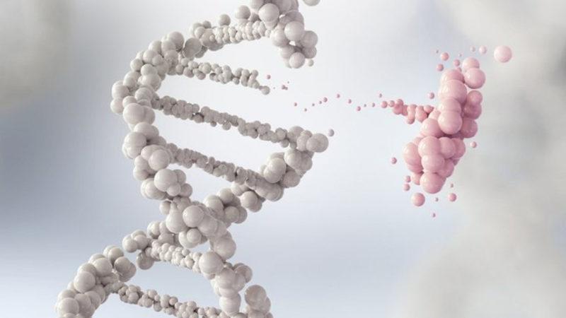 Bilim İnsanları, Önemli Bir Hastalık Olan Lupusun Sebebini Ortaya Çıkardı