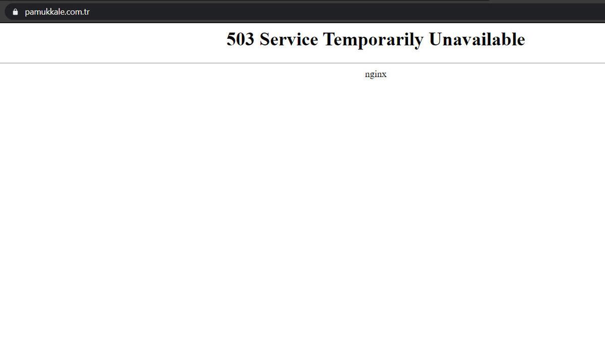 Tatil Açıklaması Sonrası Ulaşım Firmaları Yoğunlaştı: İnternet Siteleri Çöktü