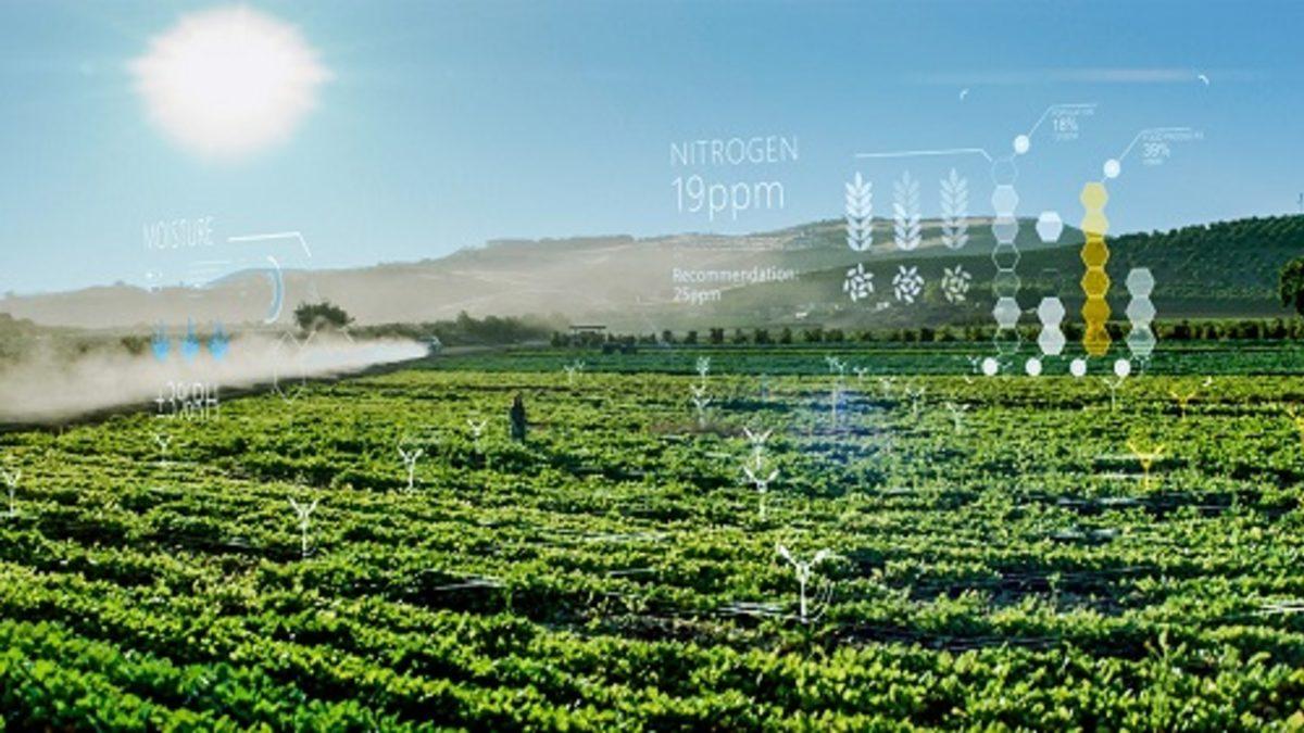 Microsoft, Çevreyi Korumak İçin Geliştirdiği Yapay Zeka Teknoloji Bildirimini Yayımladı