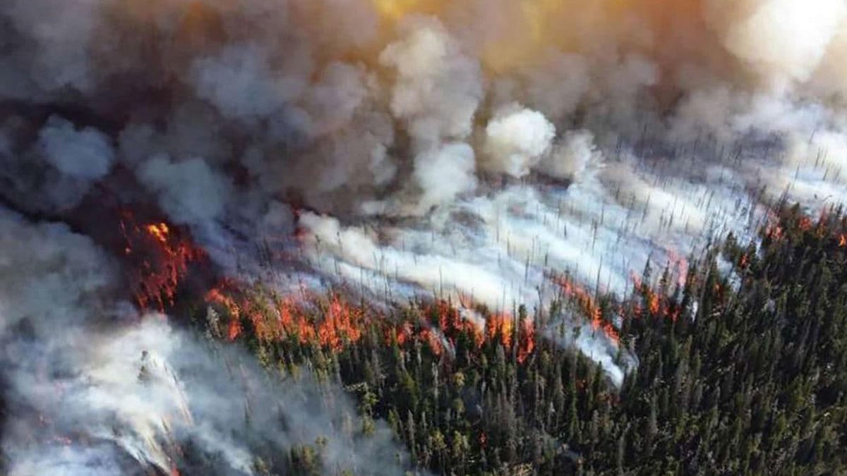 Corona Virüsüne Karşı Sergilenen Tutum, İklim Değişikliği İçin Sergilense Ne Olurdu?