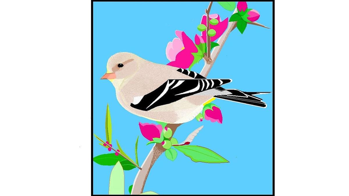 89 Yaşındaki Bir Kadının Paint ile Yaptığı 10 Sanat Eseri