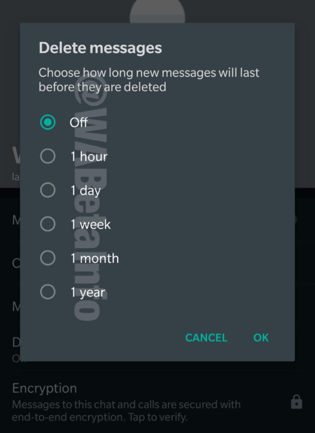 WhatsApp, Mesajların Kendi Kendine Silinmesi Özelliğini Test Ediyor