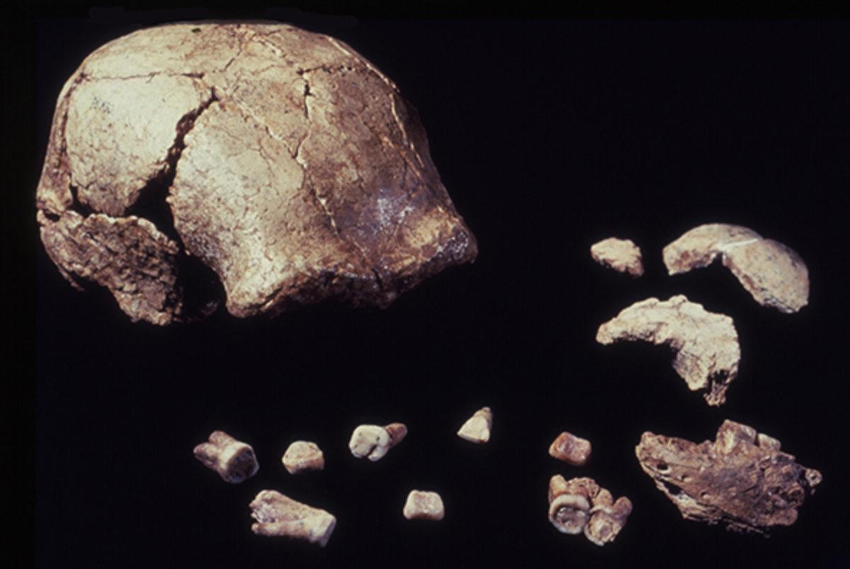 Çin’de 30’dan Fazla 300 Bin Yıllık İnsan Fosili Bulundu