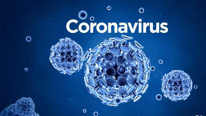 Corona Virüsü Gibi Virüsler Nasıl Yayılır, Yayılmanın Önüne Nasıl Geçilir?