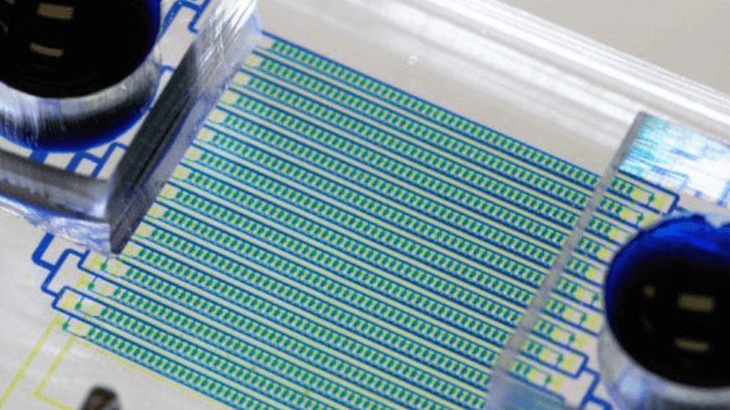 Araştırmacılar Kanser Hücrelerinin Genetik Analizini Verecek Yeni Kan Biyopsi Tekniği Geliştirdi