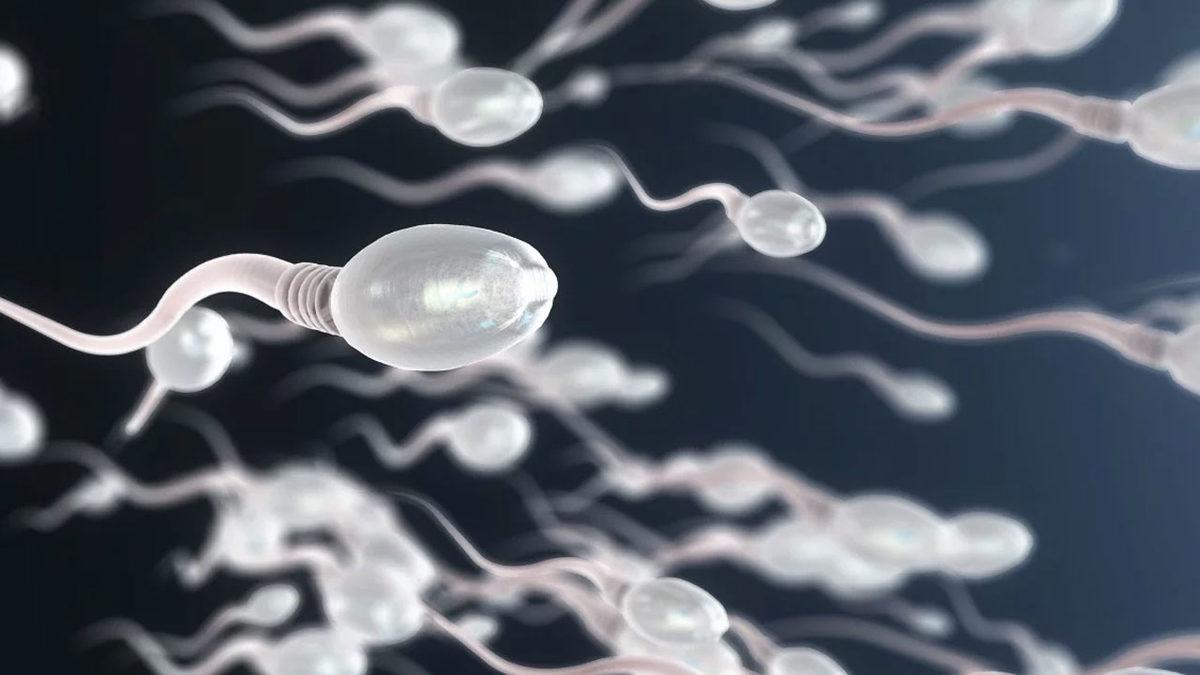 Çinli Doktorlar Uyardı: Corona Virüsü Erkeklerin Üreme Sistemini Zayıflatabilir