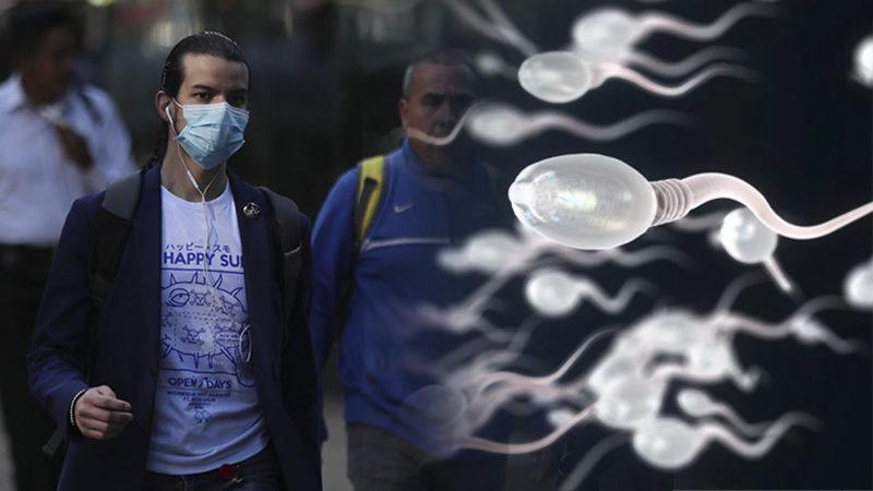 Çinli Doktorlar Uyardı: Corona Virüsü Erkeklerin Üreme Sistemini Zayıflatabilir