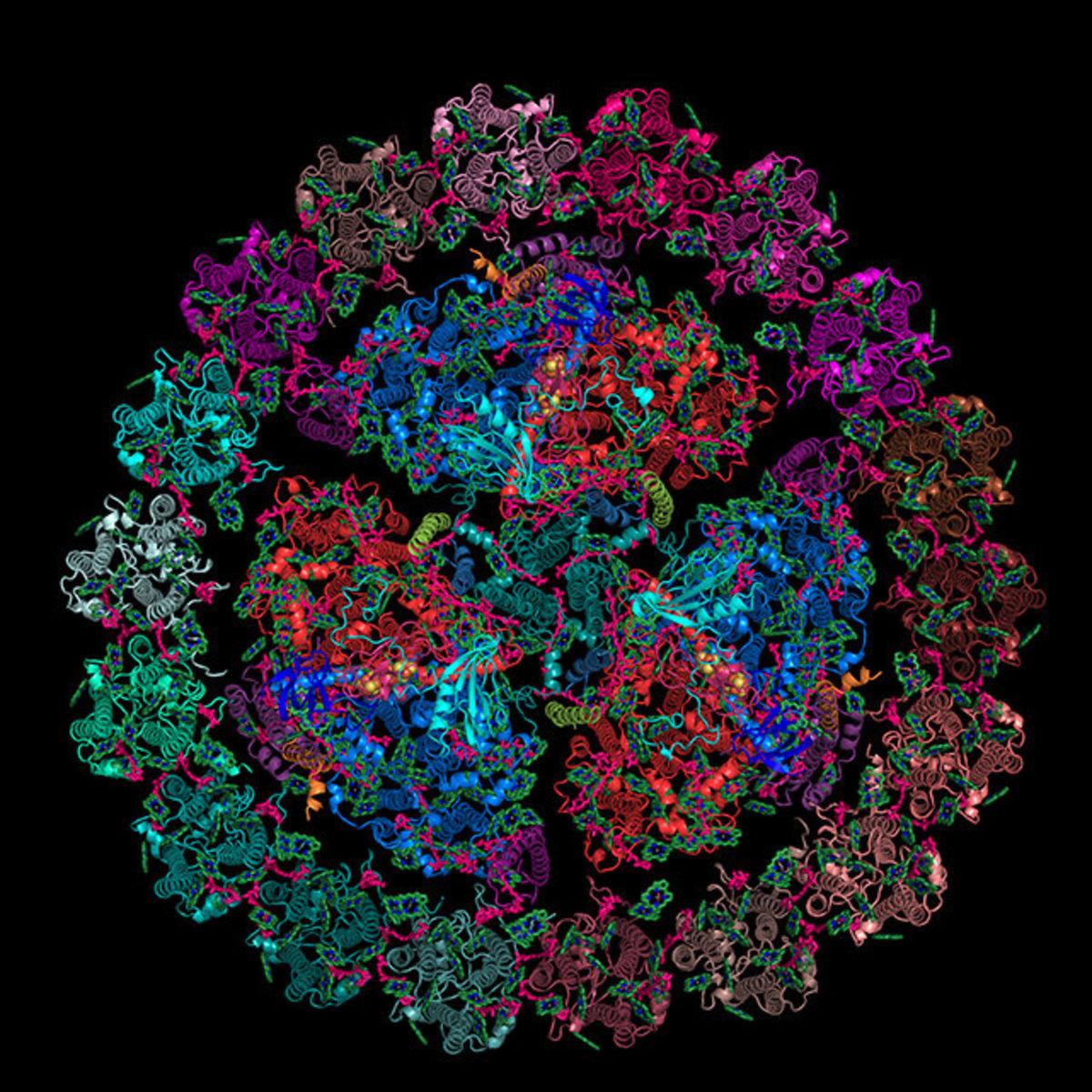 Bilim İnsanları, Fotosentezin Sırlarını Çözmeye Bir Adım Daha Yaklaştı