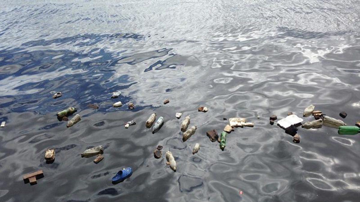 WWF, Plastik Kirliliğine Dikkat Çekmek İçin 450 Yıllık Bir Canlı Yayın Başlattı