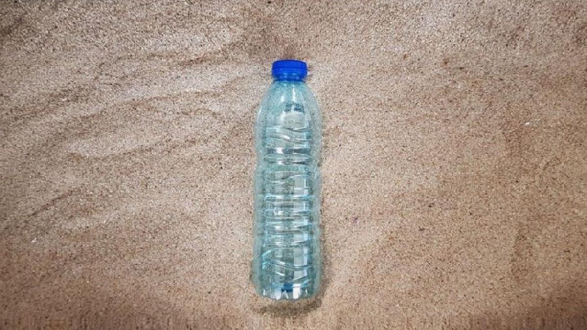 WWF, Plastik Kirliliğine Dikkat Çekmek İçin 450 Yıllık Bir Canlı Yayın Başlattı