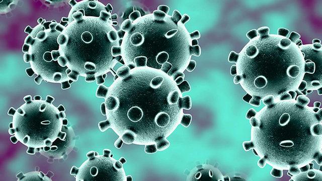 Bir İnsan İki Defa Corona Virüsüne Yakalanabilir mi?