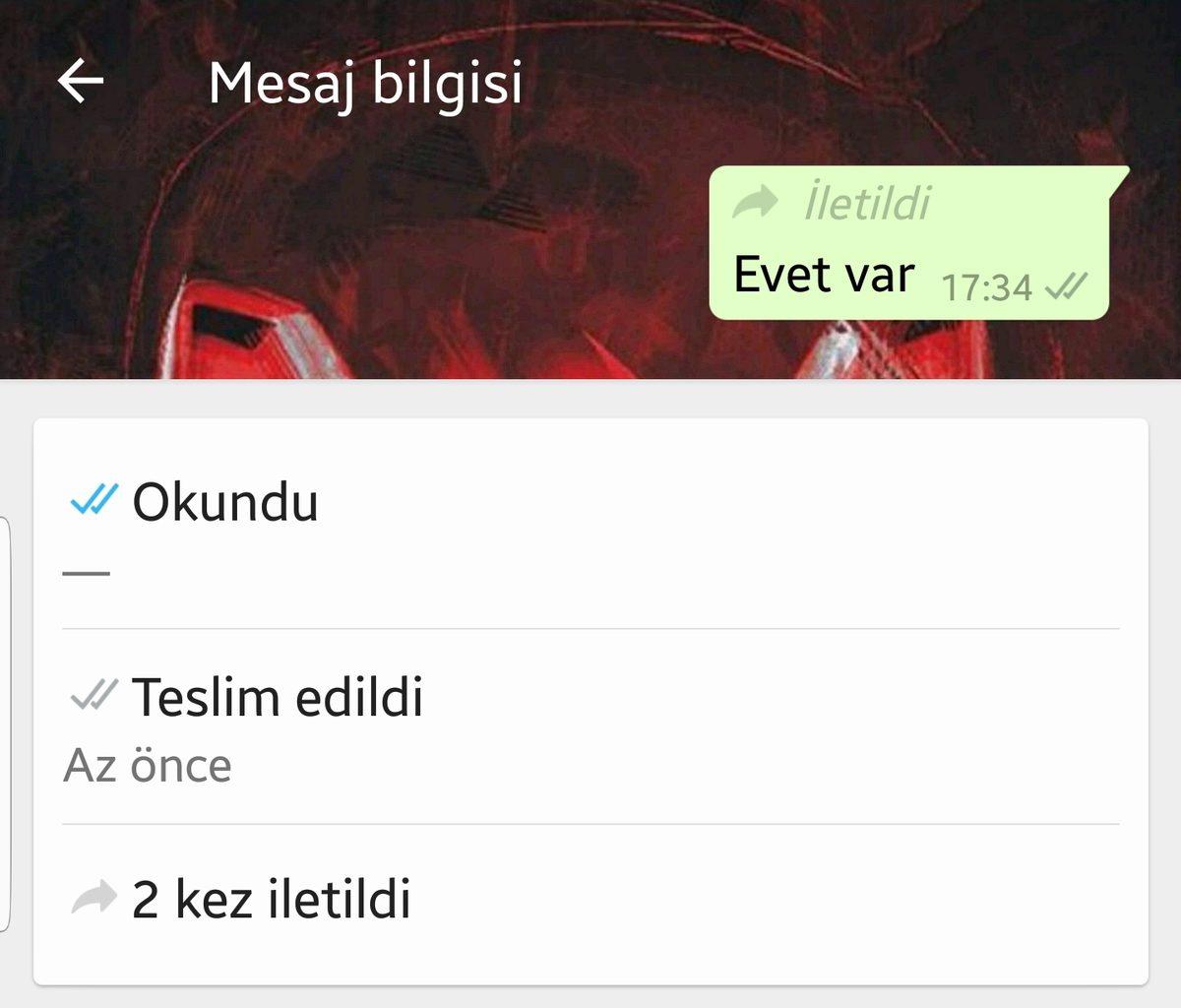 WhatsApp’a Kullanıcıları Memnun Edecek İki Yeni Özellik Geldi