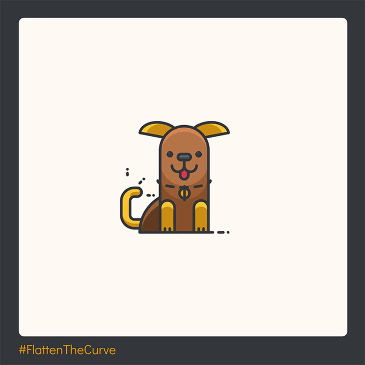 Corona Virüsünden Dolayı Dışarı Çıkmıyorken Sık Sorulan 13 Soru ve Cevabı