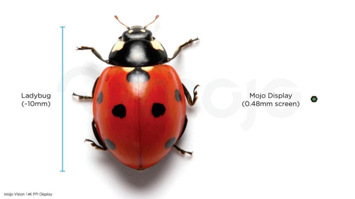 Dünyanın En Yoğun Pikselli ve En Küçük Mikro Ekranı Tanıtıldı