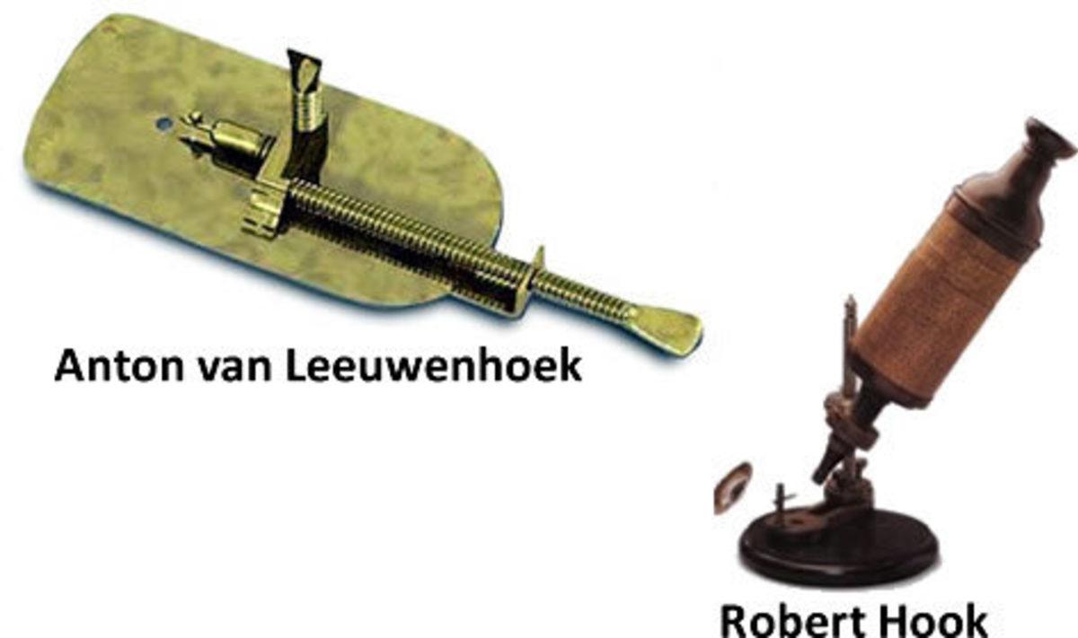 Mikroskobun Öğrenince Çok Şaşıracağınız İcat Edilme Nedeni