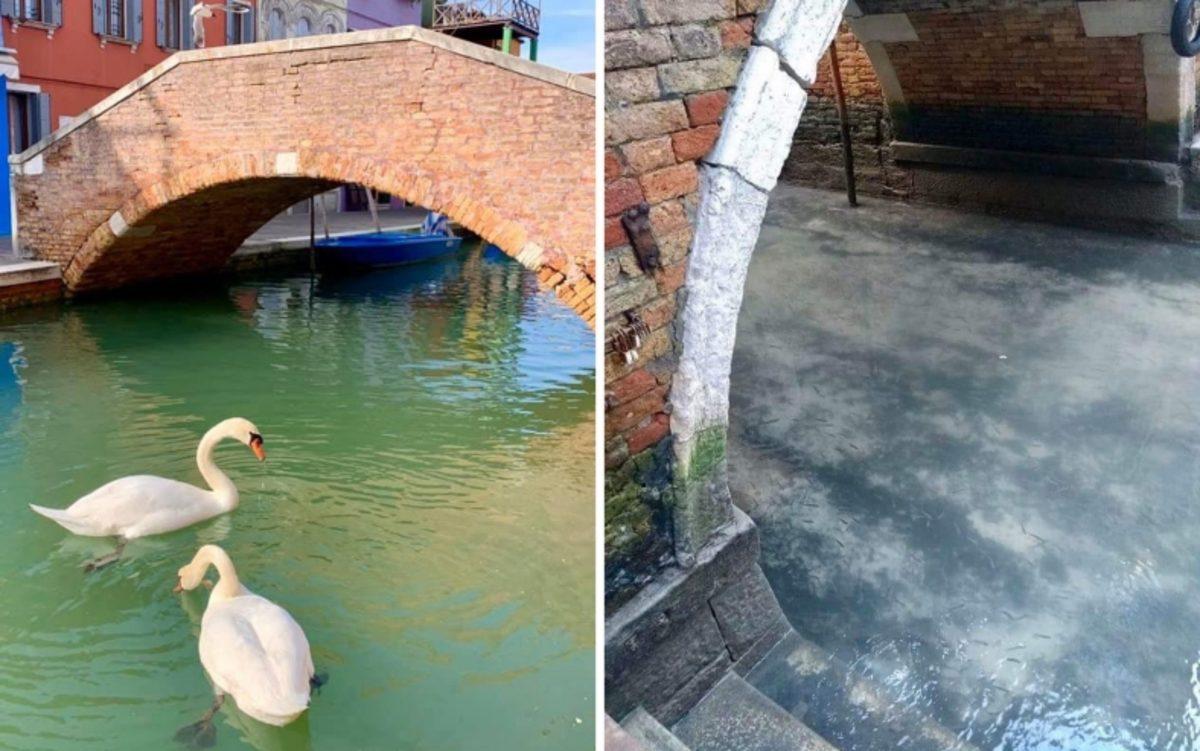 Venedik Kanalları, İnsanlardan Arındıktan Sonra Adeta Parıldıyor