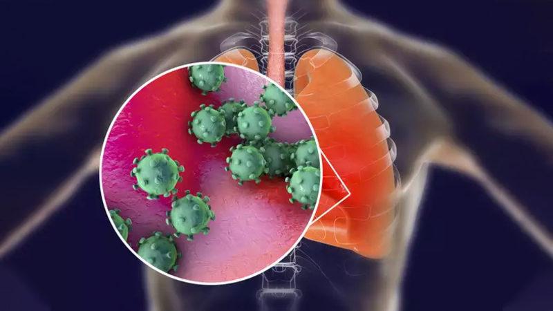 Koronavirüsün Ölümcül Etkilerini Net Şekilde Anlatan Video