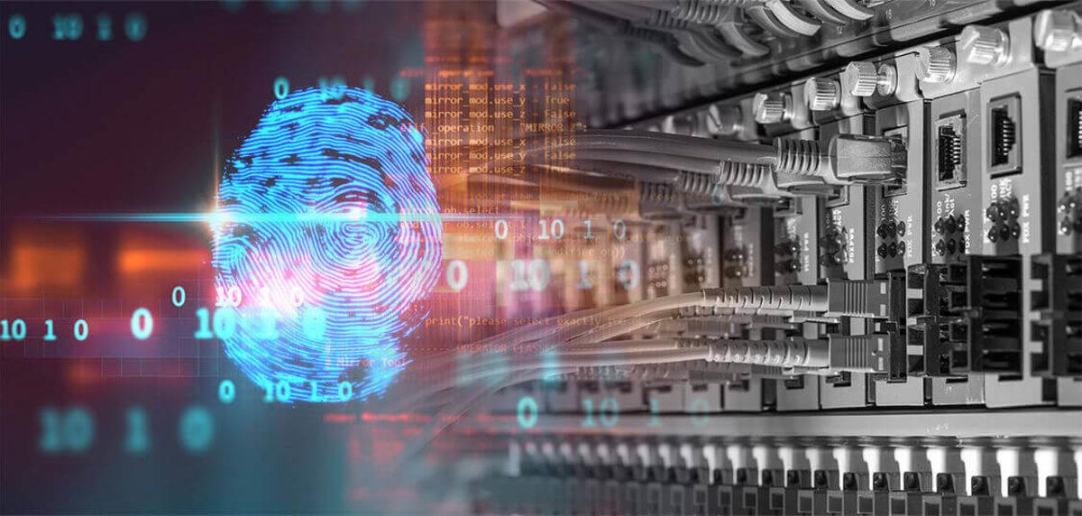 Analistler, 200 Milyondan Fazla Kişinin Bilgilerini İçeren Bir Veritabanı Keşfetti