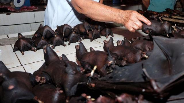 13 Yıl Önce ’Çin ve Salgın Hastalık’ Konusunda Yapılan Uyarı Ortaya Çıktı