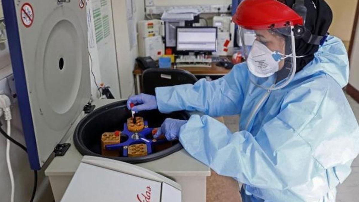 Türkiye’de 1250 TL’ye Yasa Dışı Koronavirüs Testi Yapıldığı Ortaya Çıktı