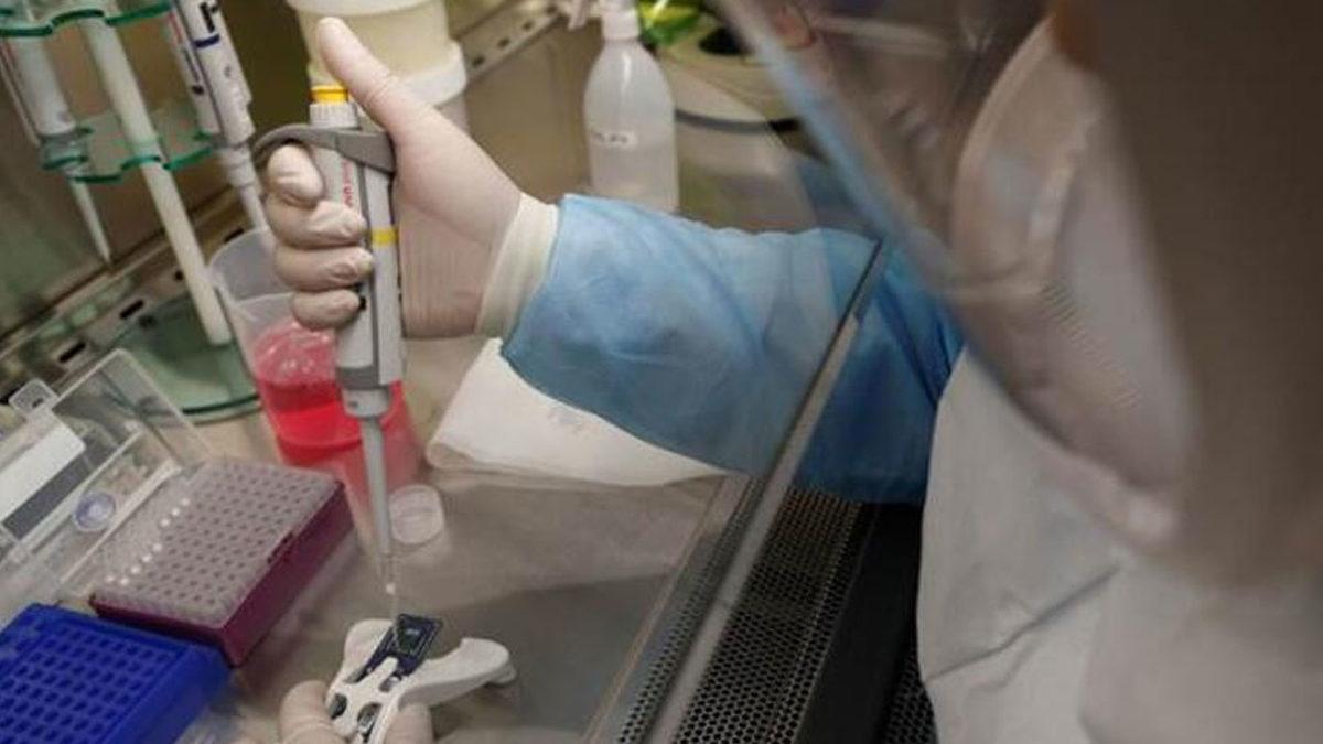 Türkiye’de 1250 TL’ye Yasa Dışı Koronavirüs Testi Yapıldığı Ortaya Çıktı