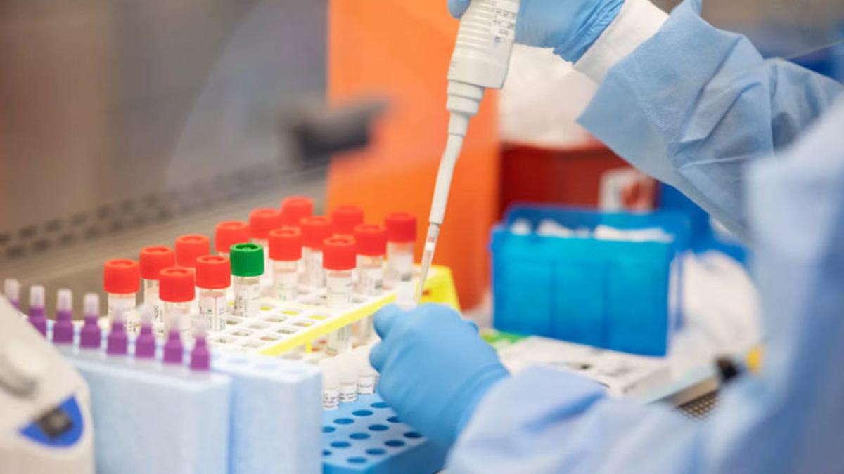 Türkiye’de 1250 TL’ye Yasa Dışı Koronavirüs Testi Yapıldığı Ortaya Çıktı