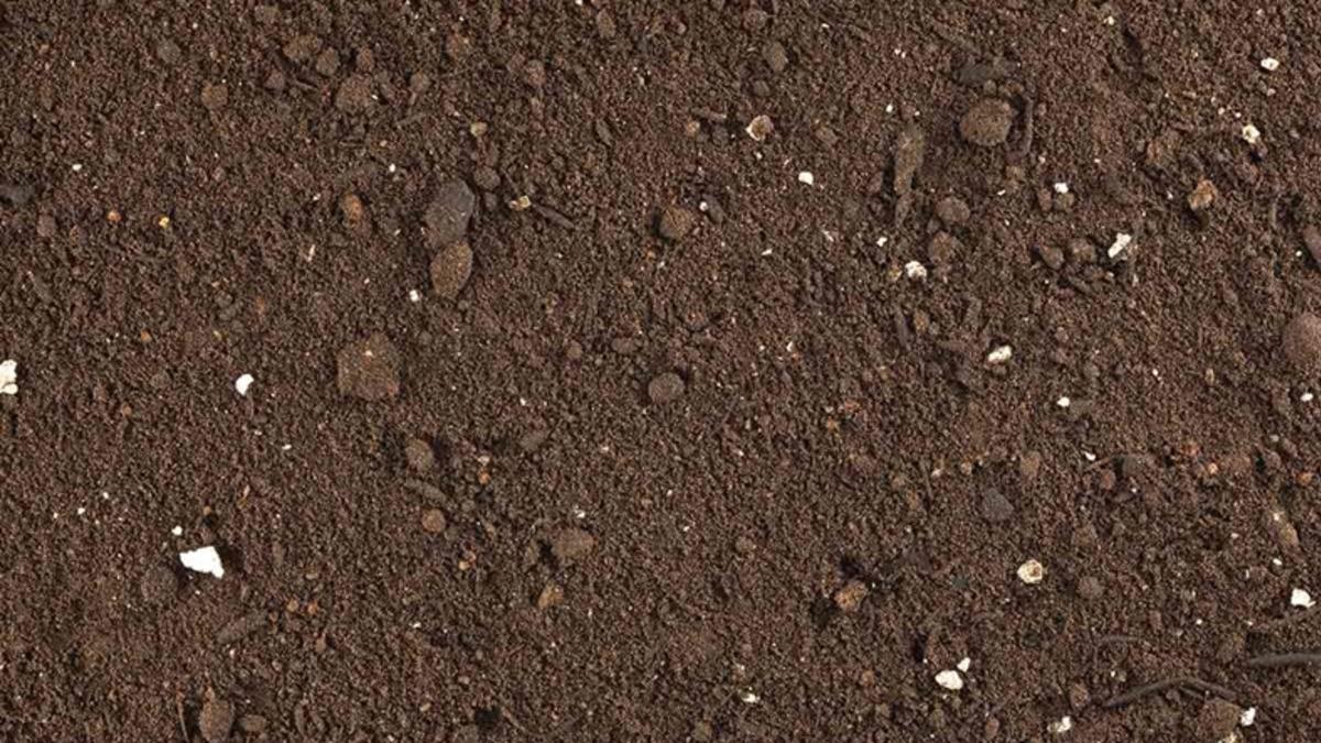 Yeni Bir Çalışmaya Göre Karbon Emisyonunun Çözümü Toprakta Yatıyor